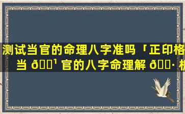 测试当官的命理八字准吗「正印格当 🌹 官的八字命理解 🕷 析」